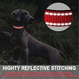 ATETEO Reflective Dog Collar Adjustable Nylon Neoprene Padding Red M 13-19.7in view 5