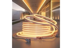 HRGXYUN LED Neon Rope Light, 98ft LED Neon with Dimmable,LED Neon Strip Light Outdoor Waterproof,ETL Listed Warm White Led Rope Lights for Supermarket,High Building, Party,110v(dimmer not Included)