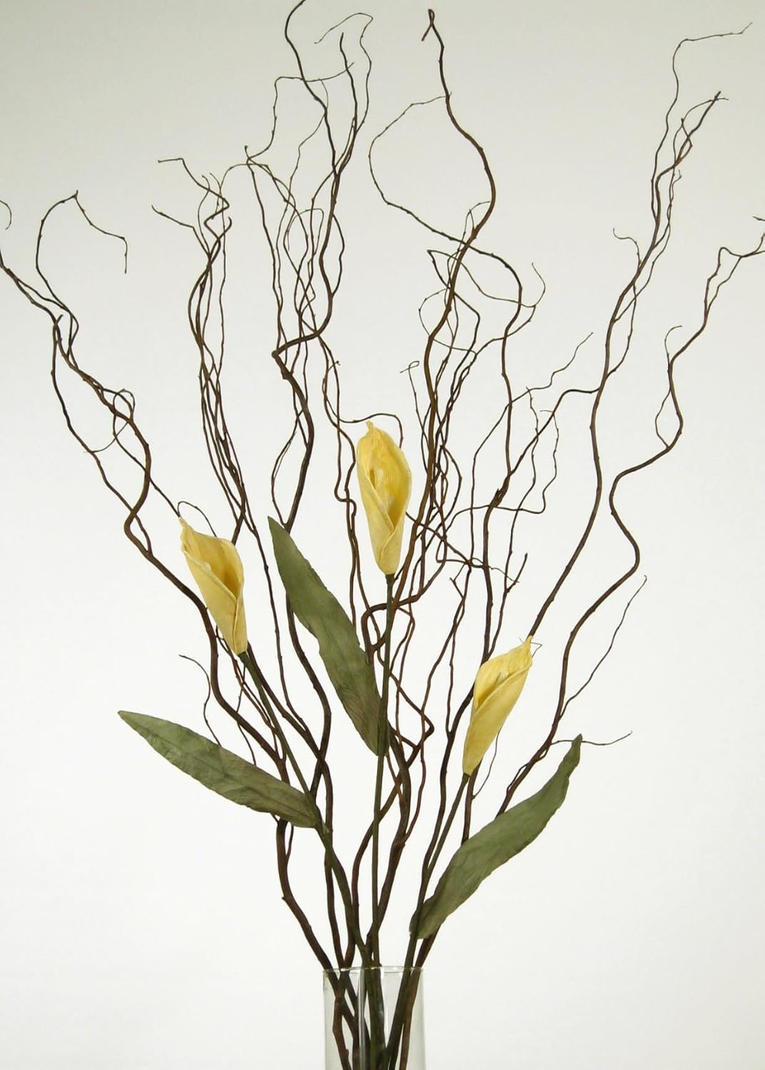 Decorative Sticks For Vases