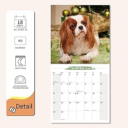 2025-2026 Wall Calendar Cavalier King Charles