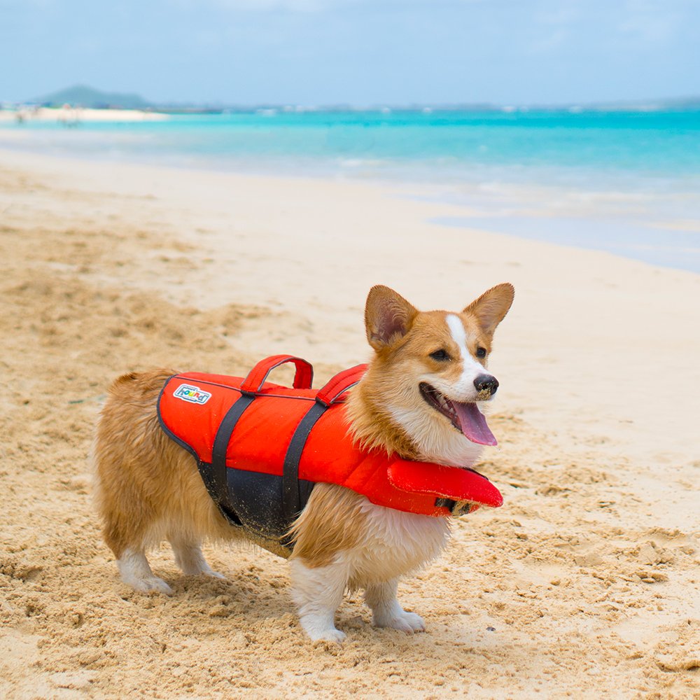 Dog Life Vest With Handles