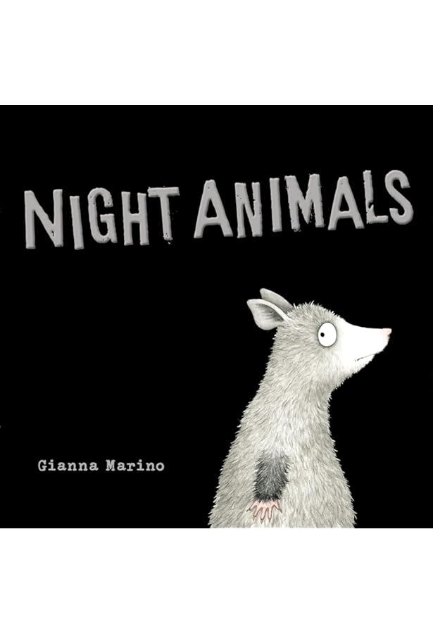 Amazon.com: Touch and Explore: Animals at Night: 9782408015985