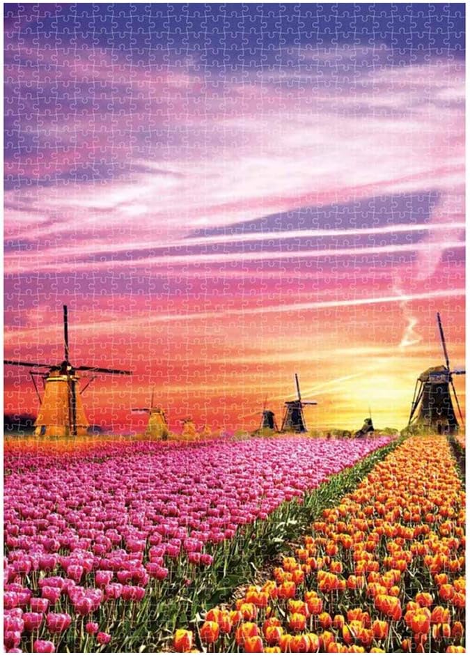 REYO Puzzles for Adults, 1000 Piece Puzzle for Adults Kids Gift - Dutch Garden Jigsaw Puzzle