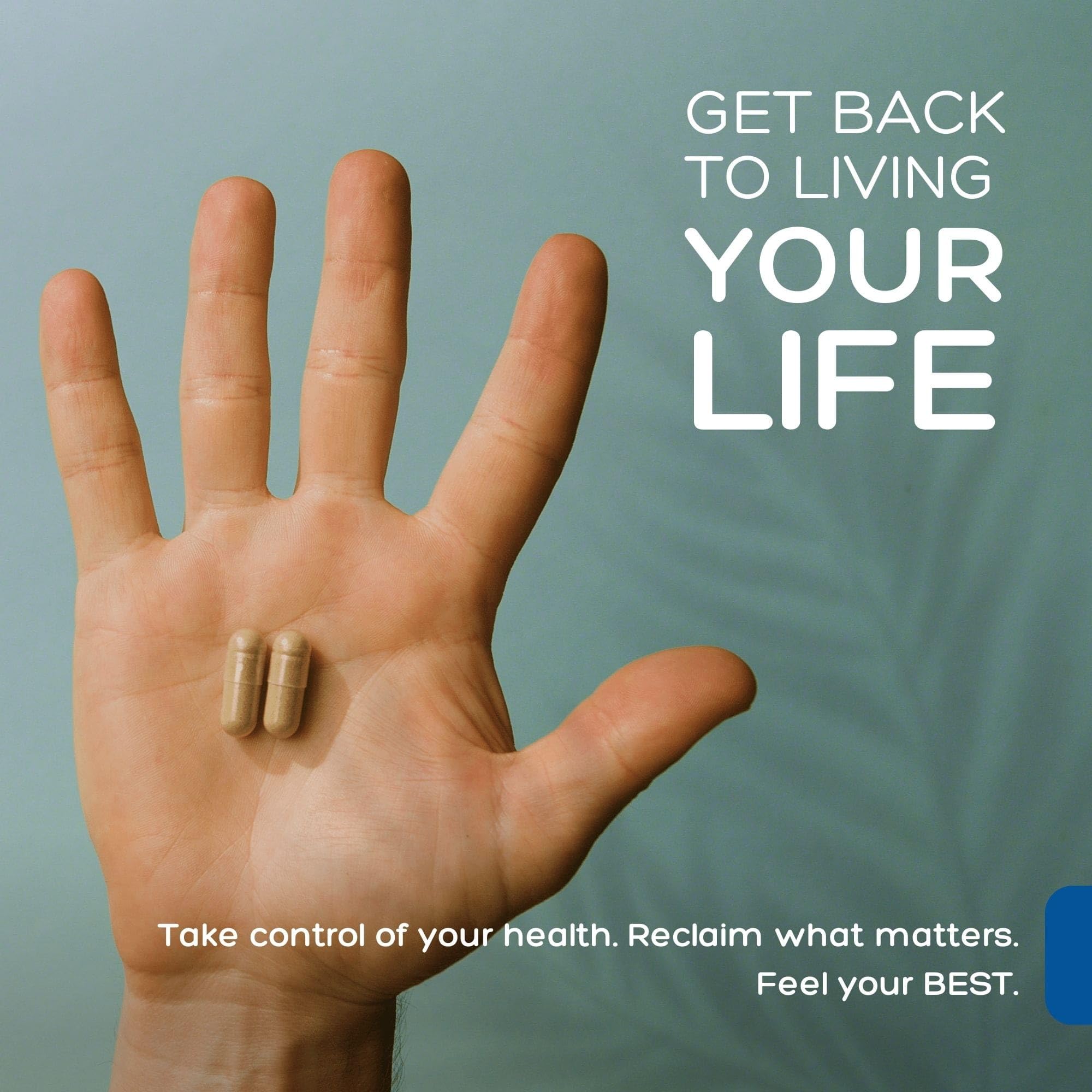 Palmara Health Premium Andrographis Paniculata Extract 1,200mg with 100mg Andrographolides Vegan Capsules for Immune & Digestive Support, Non-GMO, Gluten Free, Herbal Dietary Supplement