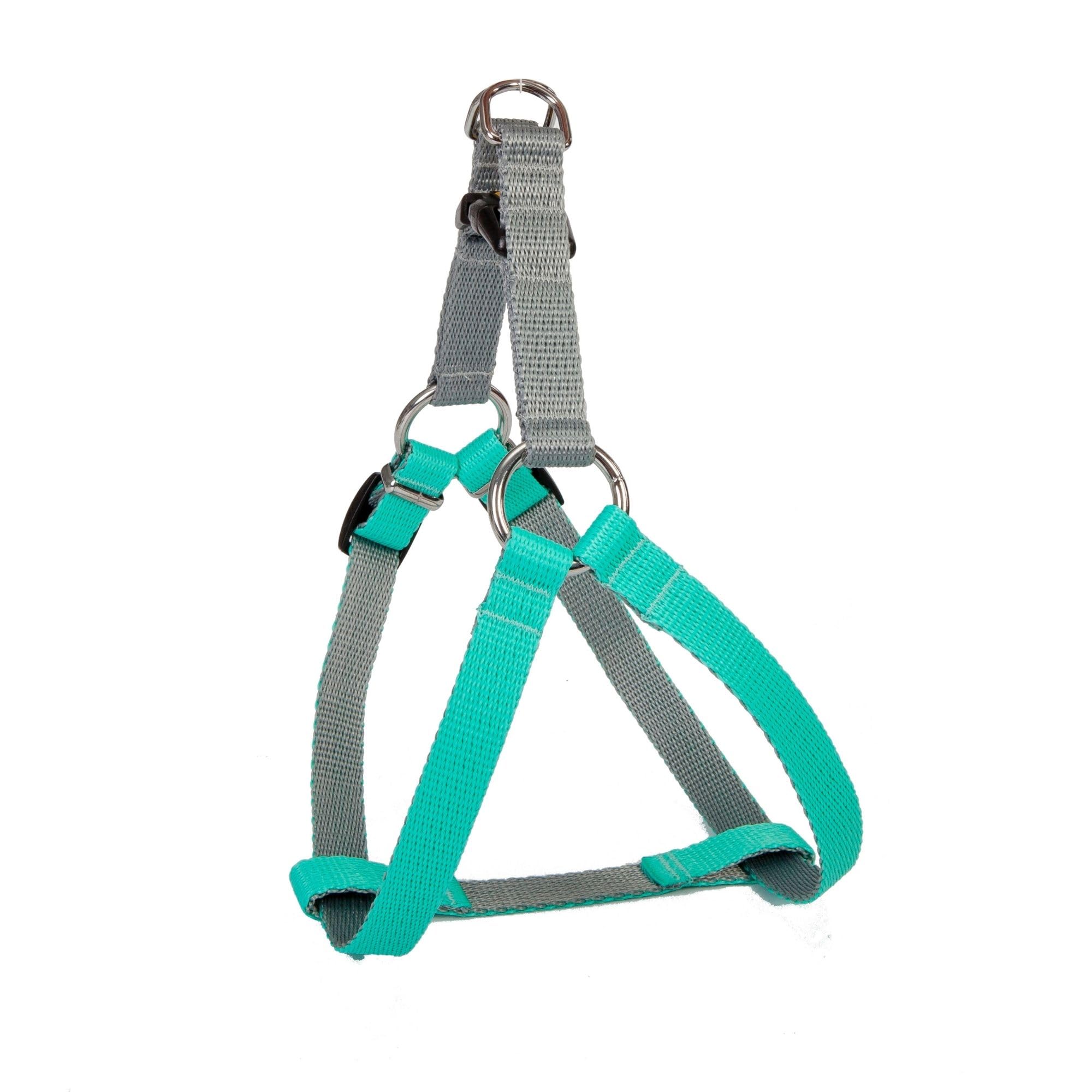 Dingo Dog Harness with Plastic Buckle Easy Wearing, Handmade of Material Mint, Silver Contrast 94672
