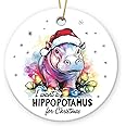 Gift Glow Hippo Christmas Ornaments 2024 - Hippopotamus Ceramic Ornaments for Christmas Tree Decorations, I Want A Hippopotamus for Christmas Decor, Xmas Gifts for Family, Animal Farm, Holiday Decor