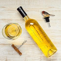Wine Aerator Pourer, Enamel Glaze Colorful Bird