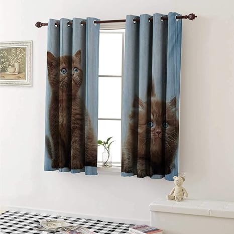 Amazon Com Flyerer Animal Customized Curtains Baby Kitten
