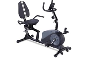 ECHANFIT Recumbent Exercise Bike with Optional Bluetooth Connectivity, 16 Levels Magnetic Resistance and Pulse Rate Monitor for Seniors, Indoor Stationary Bike for Home Use, 350 LB Weight Capacity