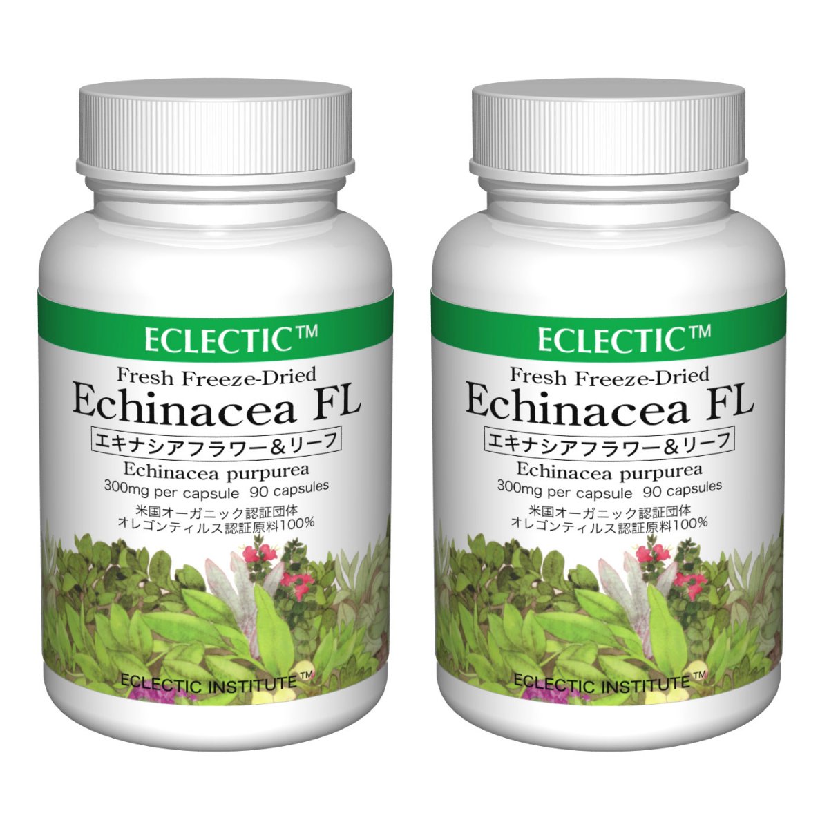 ラッピング不可 その他 B01cvg9c9k フレッシュアップグレード規格 2個セット 90カプセル 300mg Ffd 葉 花 Fl エキナシア エクレクティック Eclectic 買い保障できる