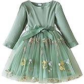 TTYAOVO Baby Girl Long Sleeve Casual Tulle Princess Dress