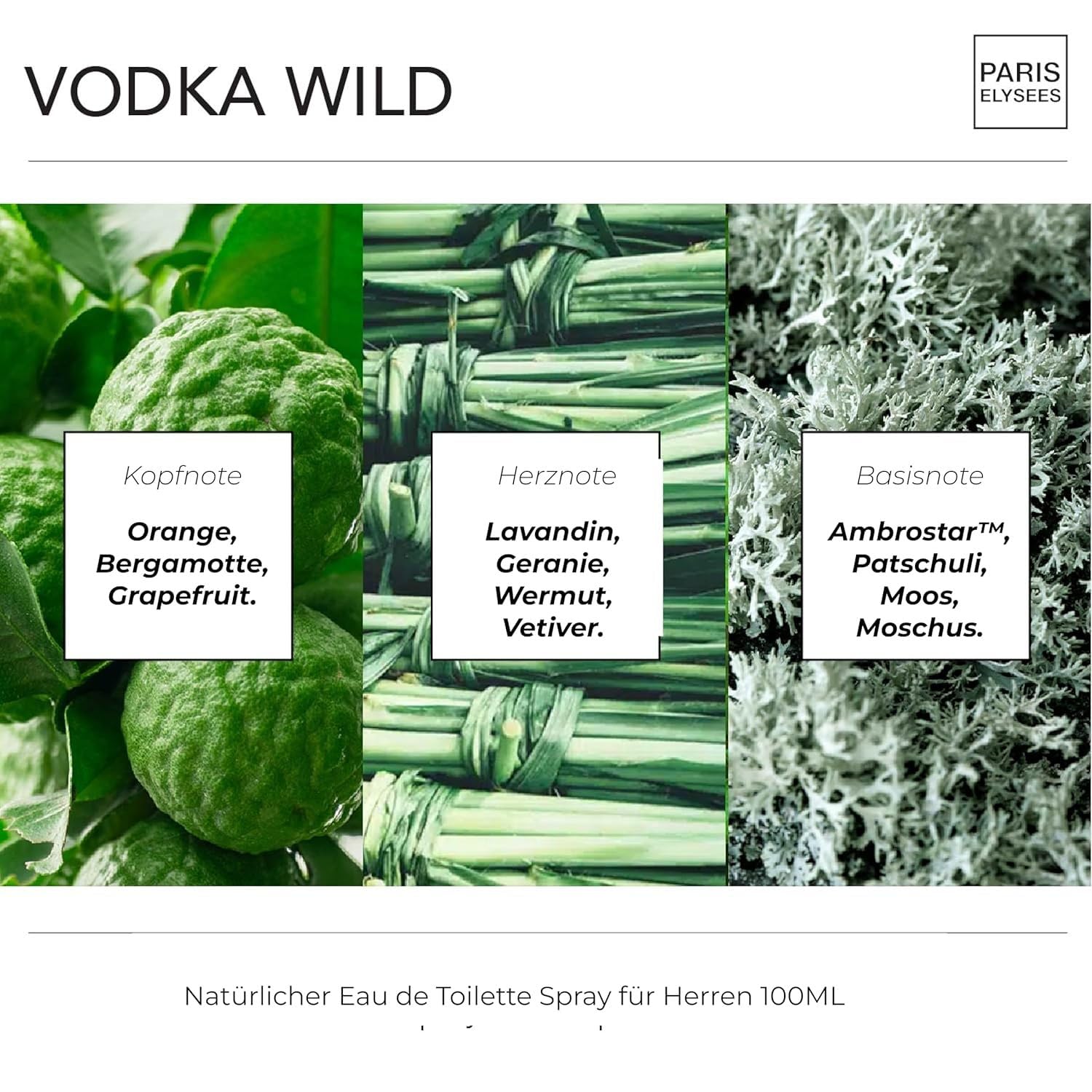 PARIS ELYSEES PARFUMS - Duftset VODKA WILD x NAUTILUS - Eau de Parfum Herren 100 ml - Aromatisch & Fruchtig 3