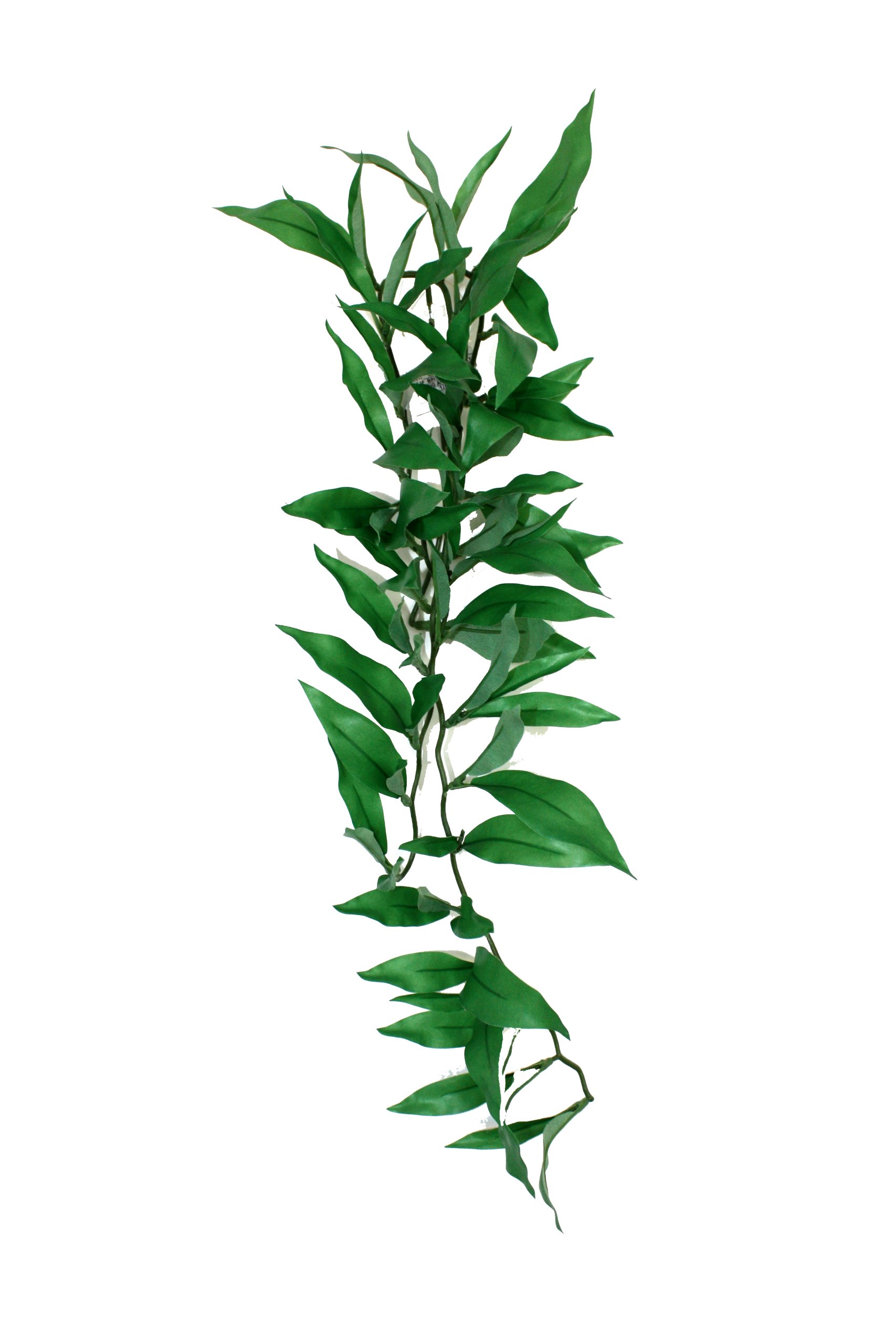 Komodo Persian Lily Silk Vine, 60 cm