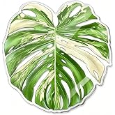 Crezusvo Acrylic Monstera Leaves Coasters, Desk Accessories Decor for Women | Unique Leaf Plant Coaster, Waterproof, Non-Slip, Easy to Clean, Heat Resistant, Ideal Home Decor Holiday Gift for Plant Lover
