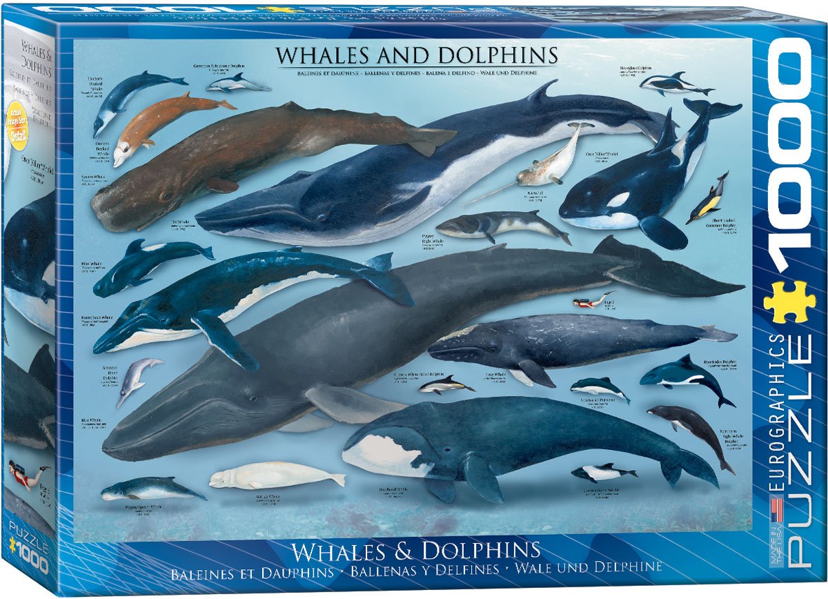 Whales and Dolphins 1000 piece jigsaw puzzle 680mm x 480mm (pz)