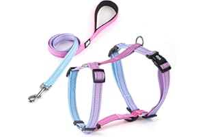 QQPETS Dog Harness Leash Set, No Pull Adjustable Halter Cute Comfort Padded Handle for Medium Sized Large Small Dogs Walking Training Running with Reflective（Medium,Red Blue）