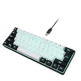 Snpurdiri 60% Wired Gaming Keyboard, 61 Keys RGB