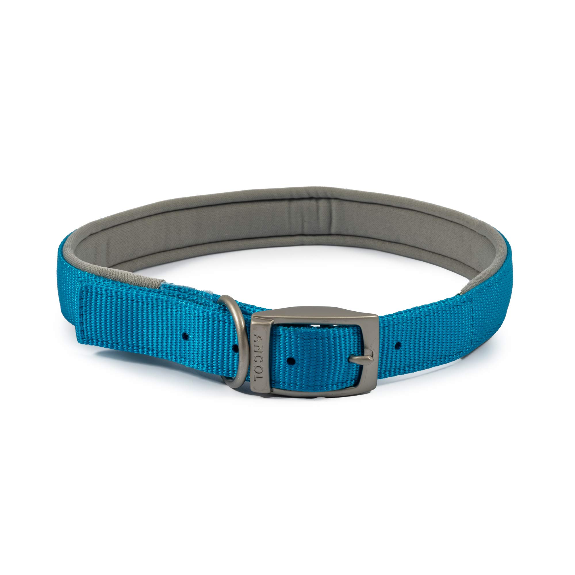 Ancol Padded Viva Dog Collar with Buckle - Blue Durable Walking Accessory for Dogs Puppies - Size 7 Fits 50-59 cm Neck