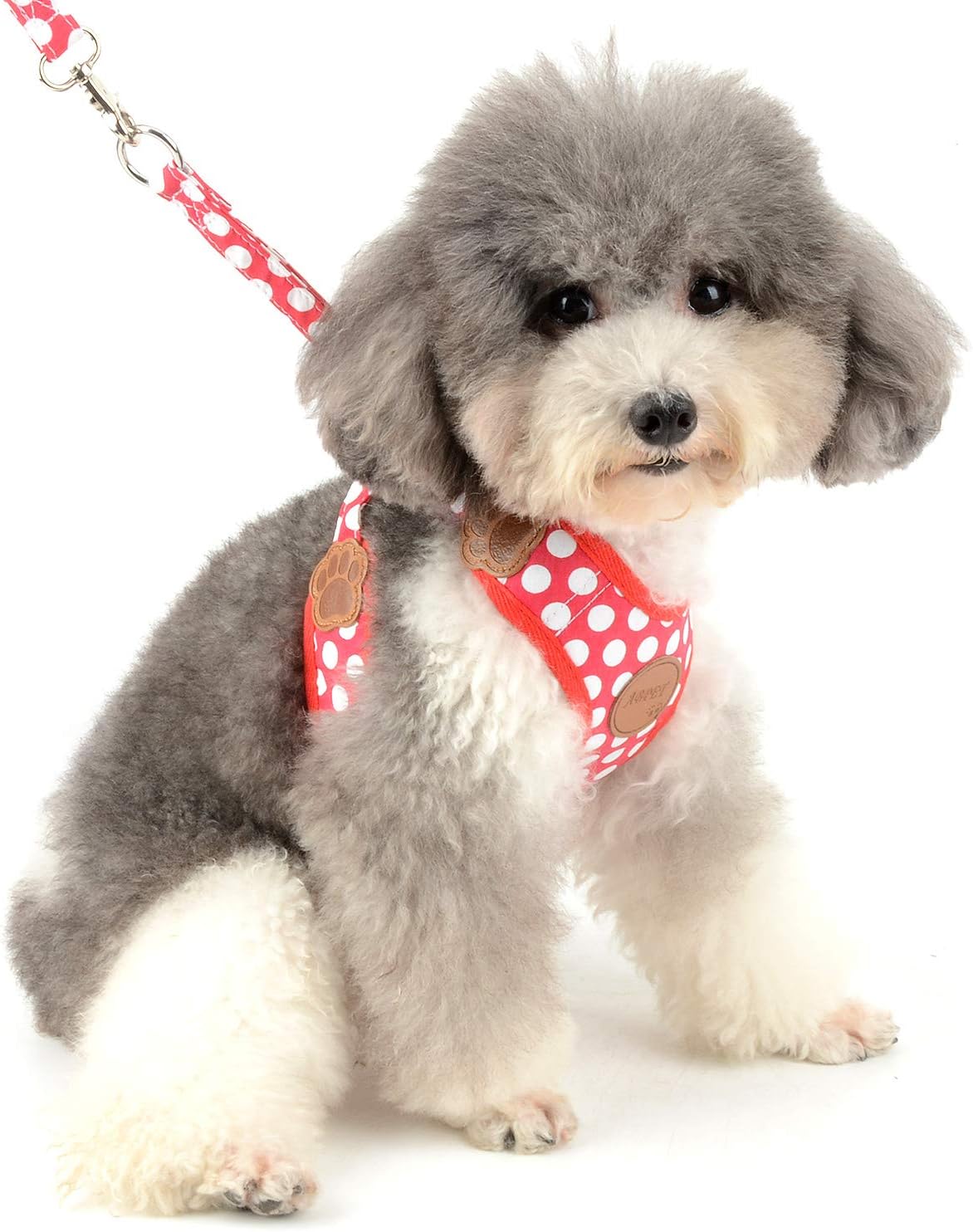 SMALLLEE_LUCKY_STORE New Soft Mesh Nylon Vest Pet Cat Small Medium Dog Harness Dog Leash Set Leads Red - Image 5