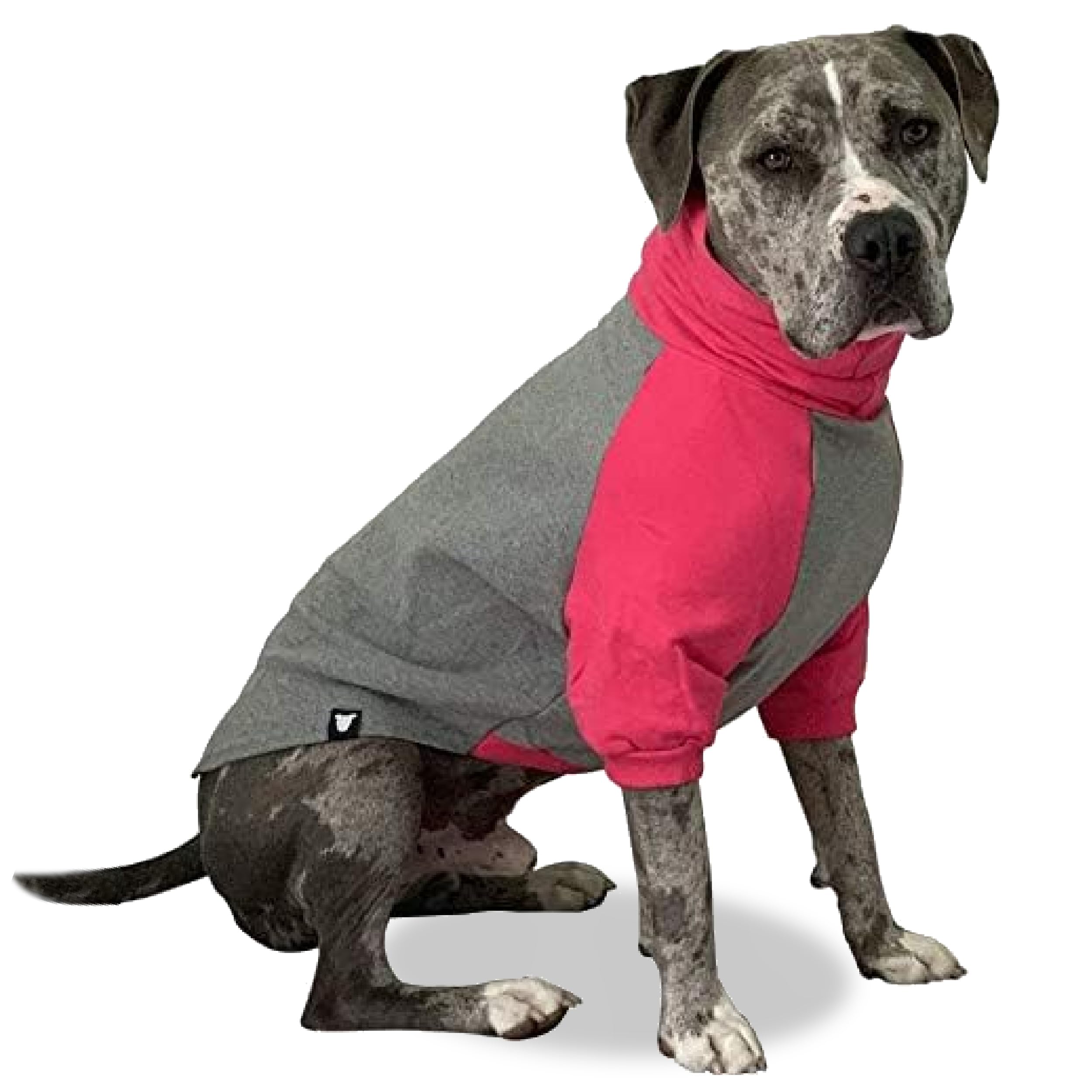Tooth & Honey Large Dog Sweater, Pitbull Dog Sweatshirt, Hot Pink and Grey, X-Large