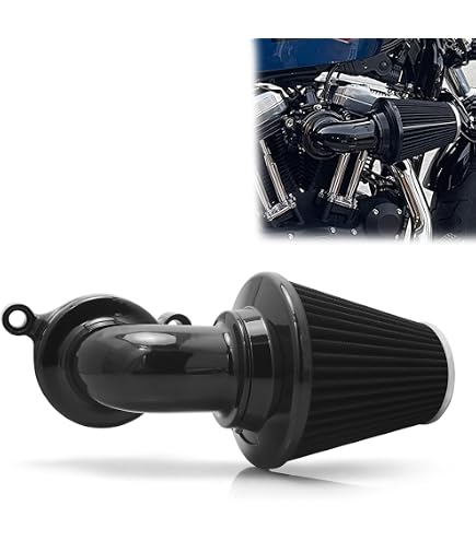 Amazon.com: Arlen Ness 50-330 Big Sucker Stage I Air Filter Kit