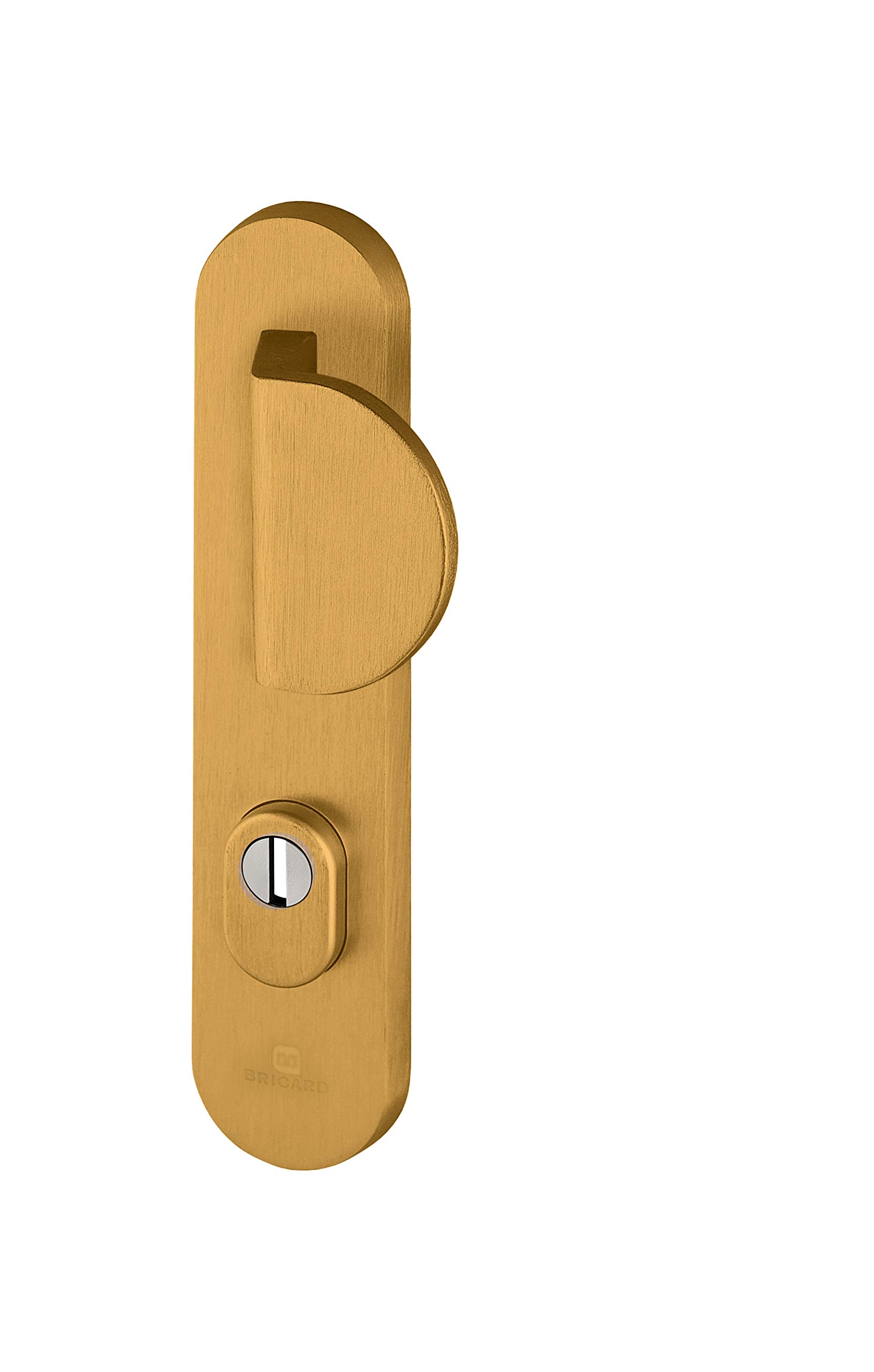 Bricard 9900051 Set of Armoured Handles on Essential Plate, 9900031