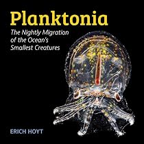 Plankton: Wonders of the Drifting World | Amazon.com.br