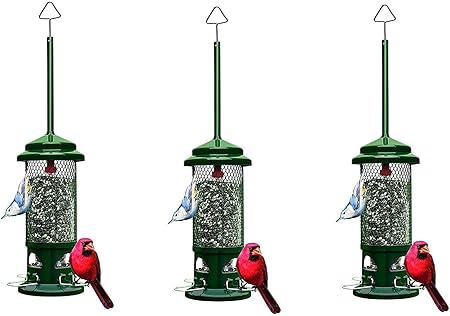 Amazon Com Squirrel Buster Standard Squirrel Proof Bird Feeder W
