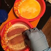 Amazon.com: Safeguard Nitrile Disposable Gloves, Powder