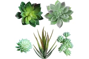 Supla 5 Pcs Assorted Artificial Succulents Plants Unpotted Small Green Cactus Echeveria Picks Fake Succulents Bulk for Succulent Garden Centerpiece Wreath Floral Arrangement Indoor Outdoor Home Décor