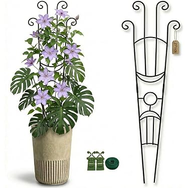 Amazon.com New Releases: The best-selling new & future releases in Garden  Trellises