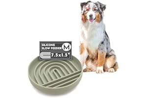 Should We Go? Slow Feeder for Dogs & Puppies, The Slowdown Bowl Silicone Slow Eating, Modern Lick Mat Design, Reduces Gulping, Fits 2 Cups, 7.5” Across x 1.5” Tall, Mealtime Challenge, Medium-Sage