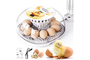 WONEGG Incubators for Hatching Eggs Quail Egg Incubator 12 Eggs with Automatic Egg Turning and Humidity Control 360° Viewing for Chicken, Ducks, Goose, Pigeon for Lab Farm and Home
