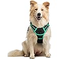 rabbitgoo Dog Harness, No-Pull Pet Harness with 2 Leash Clips, Adjustable Soft Padded Dog Vest, Reflective No-Choke Pet Oxford Vest with Easy Control Handle for Large Dogs, Black & Turquoise, M