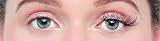 Eylure Wild & Wispy Savage False Lashes with Latex Free Glue view 5