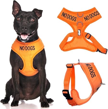 warning dog harness