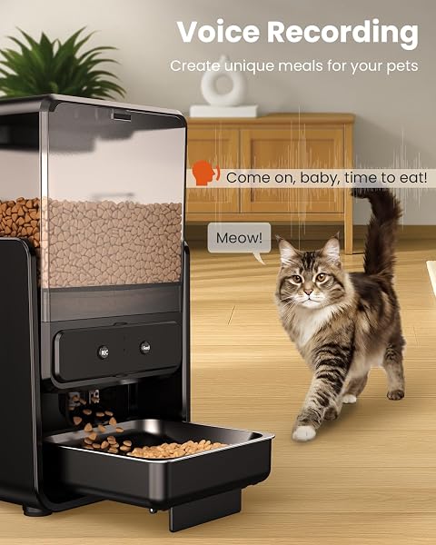 CITYFLEE AUTOMATIC CAT FEEDER WITH 5G WIFI FOR 2 CATS, ADJUSTABLE HEIGHT FOR SMALL PETS, DUAL BOWLS, 20 CUPS/5L DRY FOOD AUTO PET DISPENSER, VOICE RECORD, TIMED CAT FEEDER WITH APP CONTROL