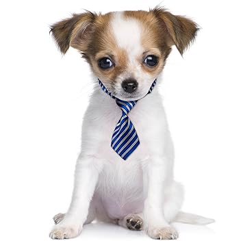 Classic Blau Gestreift Schule Business Fancy Kleid Süsse