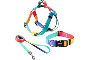 QQPETS Dog Harness Collar Leash - No Pull Pet Adjustable Back Clip Halter Basic Collar Heavy Duty 5FT Anti-Twist Leash for Extra Small Puppy Medium Large Breed Training Easy Walk(S,MultiRainbow)