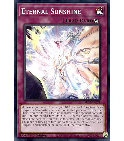 Amazon.com: Complete Custom Deck for Yu-Gi-Oh! 5D's
