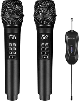 wireless mic for home theater
