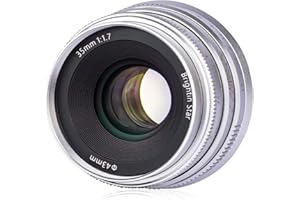 Brightin Star 35mm F1.7 Large Aperture APS-C Manual Focus Prime Fixed Mirrorless Camera Lens, Fit for Panasonic Olympus Micro4/3 G7, G85, GX9, G7KS, EPM1/2, EM1, EP1/P2/P3/P5, PL 1/2/3/5/6(Silver)