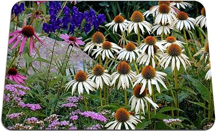 Amazon 22cmx18cm マウスパッド エキナセア花ハーブ石夏 パターンカスタムの マウスパッド Bingbongbu マウスパッド 通販