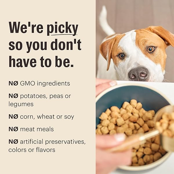 THE HONEST KITCHEN HUMAN GRADE WHOLE FOOD CLUSTERS WHOLE GRAIN CHICKEN & OAT DRY DOG FOOD – COMPLETE & BALANCED MEAL OR TOPPER – 1 LB BAG