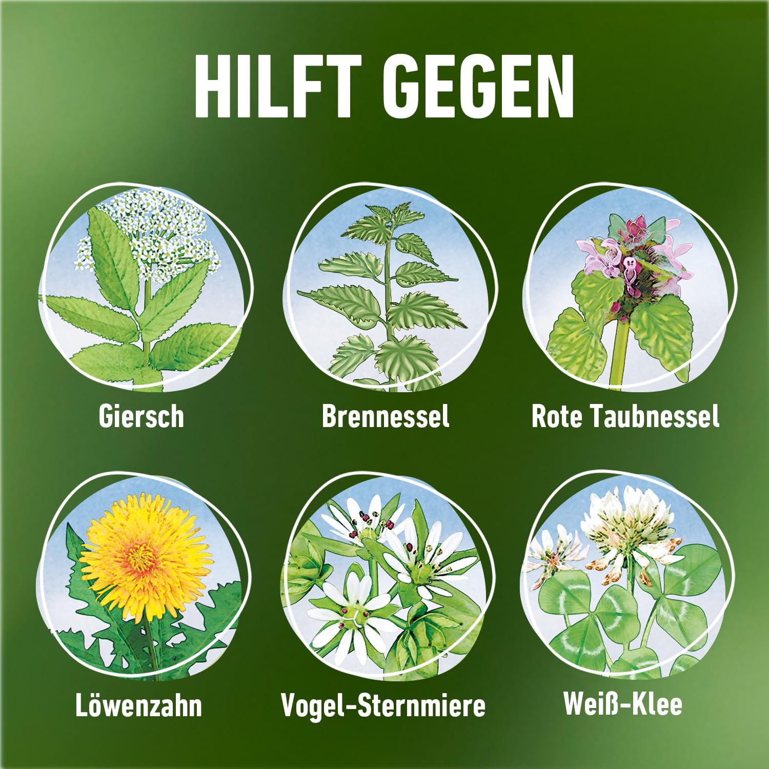 VOROX Unkrautfrei Express - anwendungsfertiger Unkrautvernichter - bekämpft Unkraut, Algen & Moos - wirkt gegen mehr als 50 Unkräuter - Anwendung zwischen Gemüse- und Zierpflanzen - 3 Liter 5