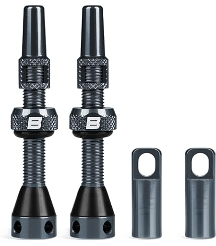 Amazon.com : SKS Germany MV Easy Pump Head : Sports & Outdoors