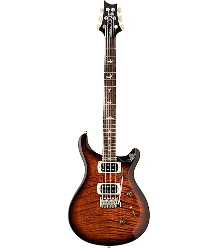 Amazon.com: PRS SE Standard 24 - Translucent Blue : Musical
