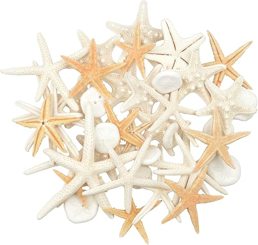 estrellas de mar amazon