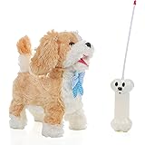 meva paw pals walking dog