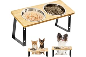 Smartoo Stainless Steel Elevated Cat Bowls - 15 Raised, Anti Vomiting, Dishwasher Safe